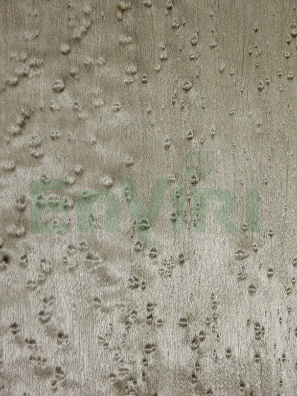 Charcoal Pebble - Birdseye Maple (WD-203)