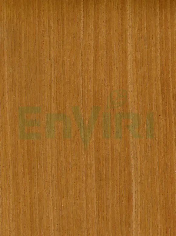 EVR-5020