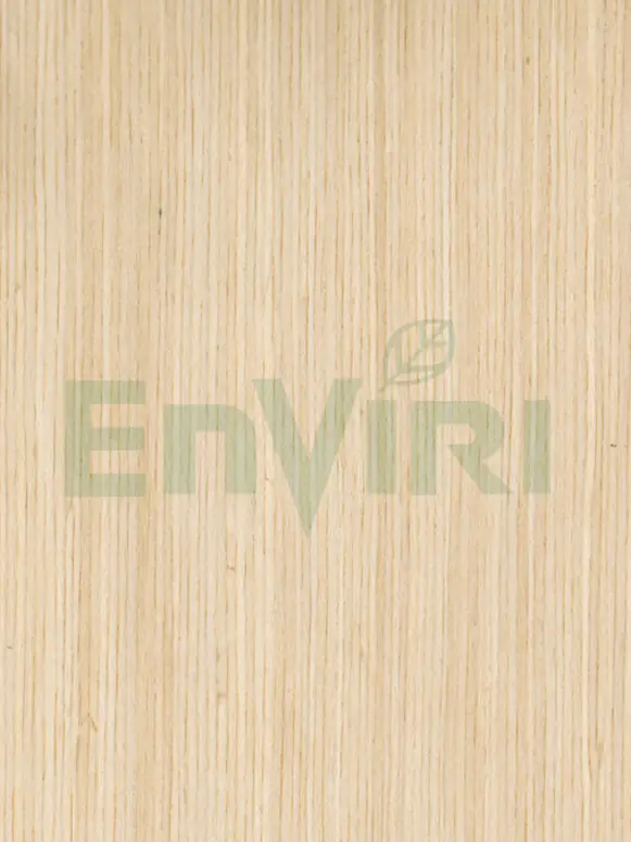 EVR-S780